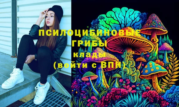 Альфа ПВП Каменск-Шахтинский