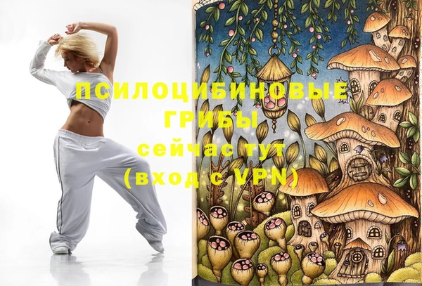 Альфа ПВП Каменск-Шахтинский