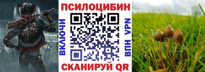 Галлюциногенные грибы мицелий  Купить где  Белореченск 